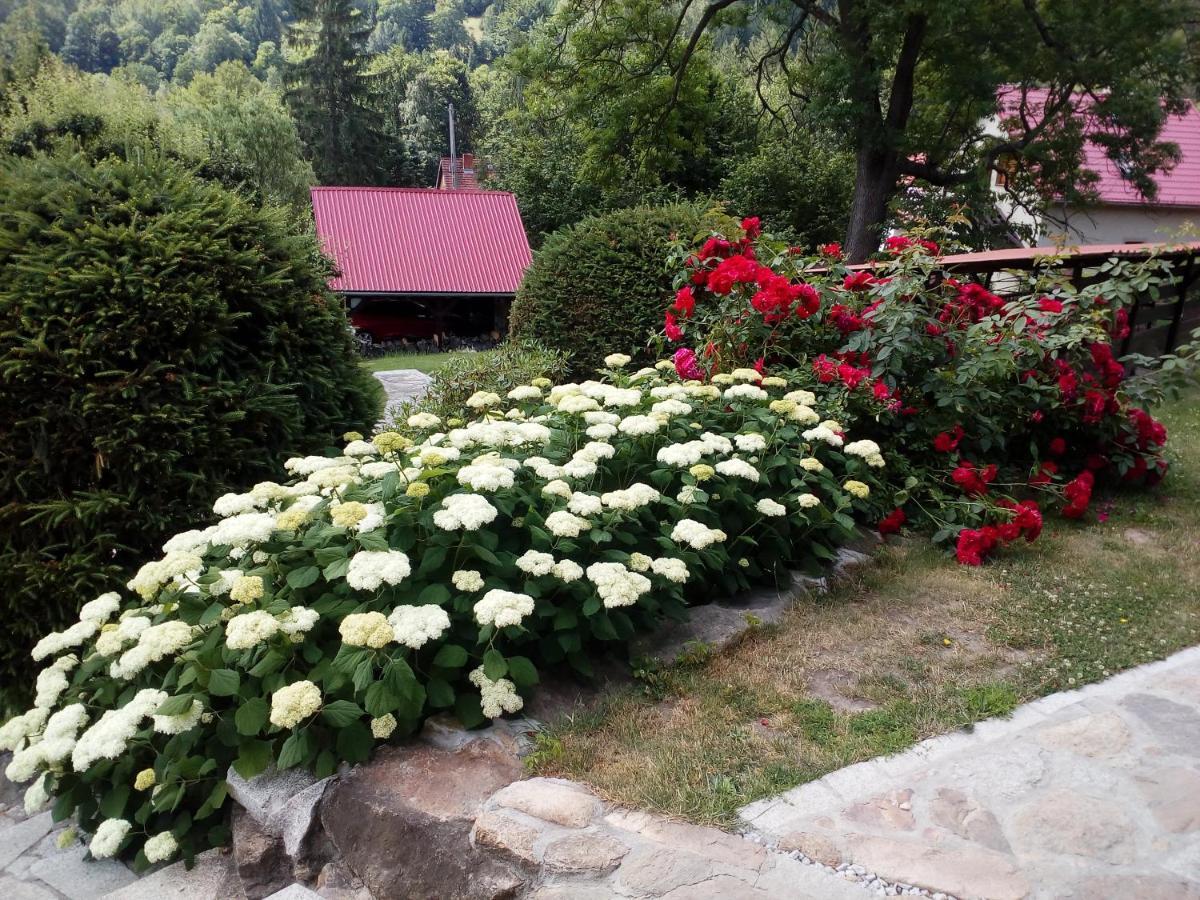 Apartamencik Na Slonecznej Piechowice  Luaran gambar